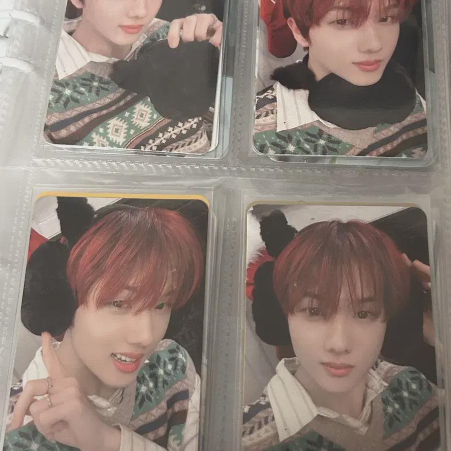 Розовый Рождественский Интерес Полный Полный Набор