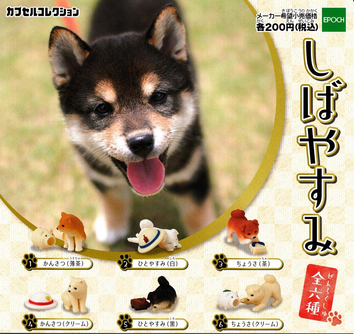 Сибаясуми 6 видов [Набор (полный полный)]