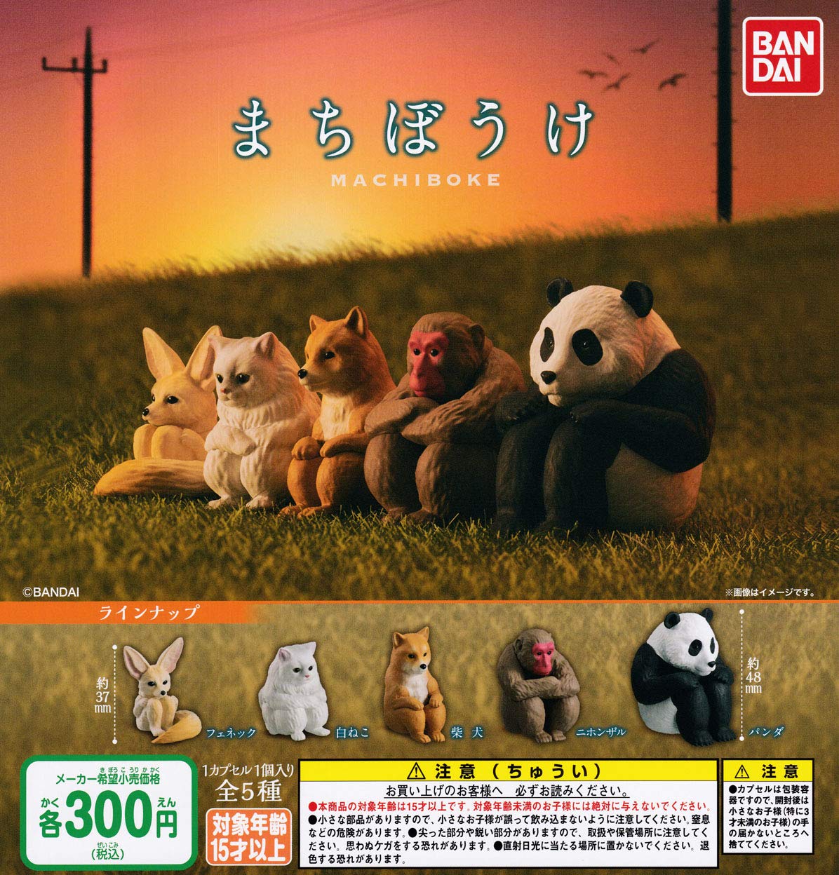 Набор типов Мачибоке [5 (полный полный)]